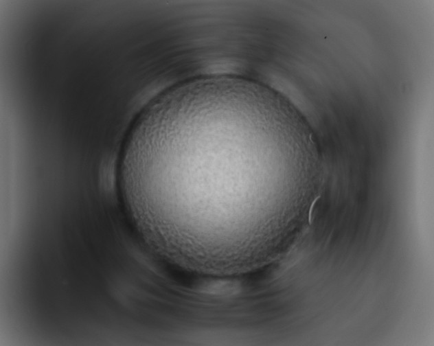 X0000093150155200710031434