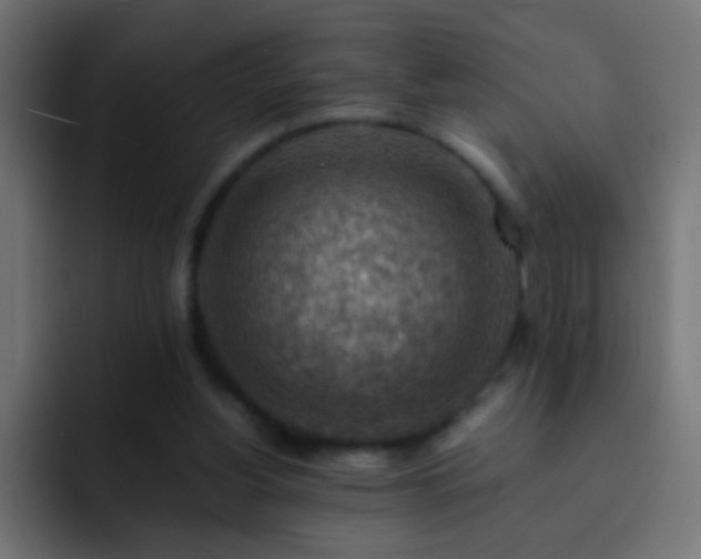 X0000093150156200710031434