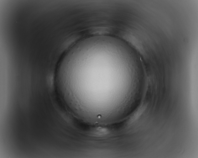 X0000093150159200710031434