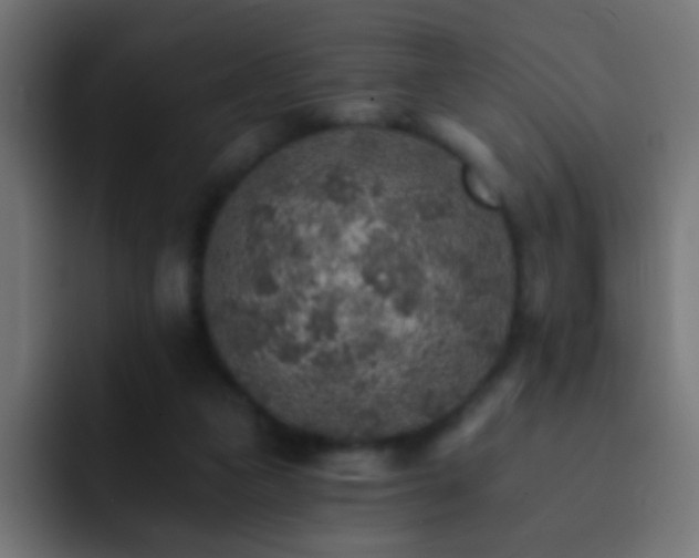 X0000093150161200710031434