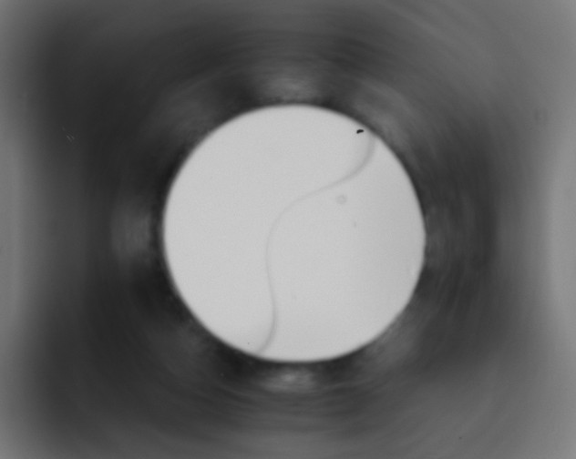 X0000093150162200710031434
