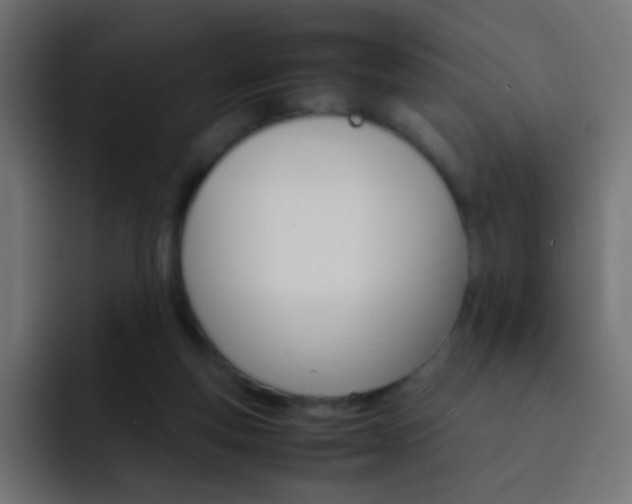 X0000093150163200710031434