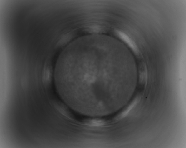 X0000093150165200710031434