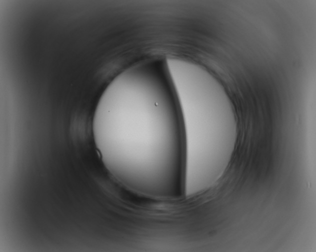 X0000093150168200710031434