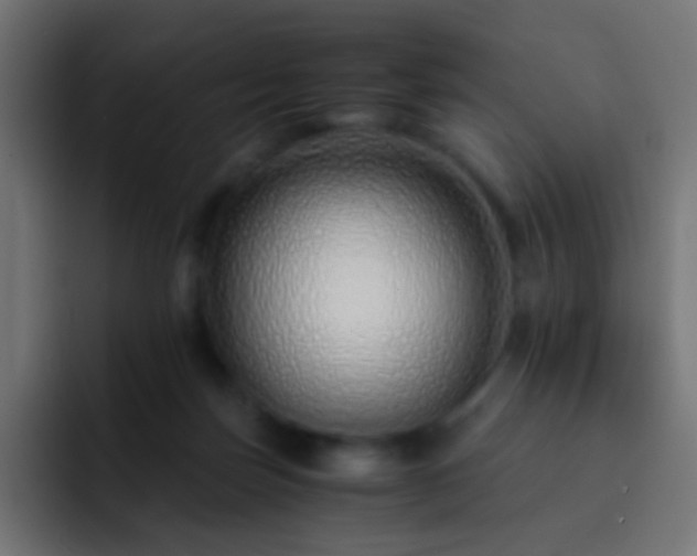 X0000093150171200710031434