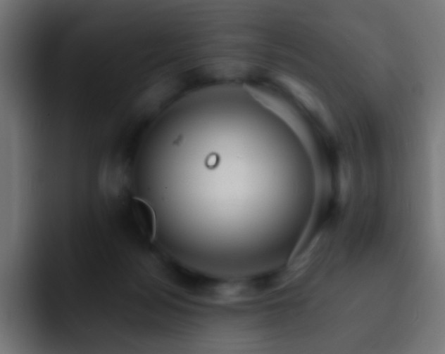 X0000093150172200710031434