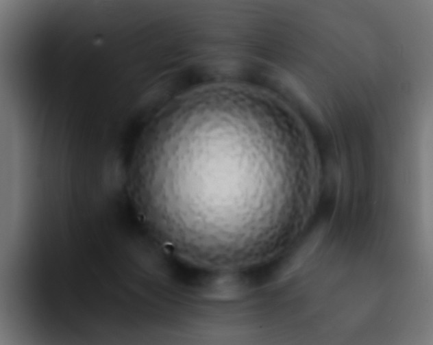 X0000093150173200710031434