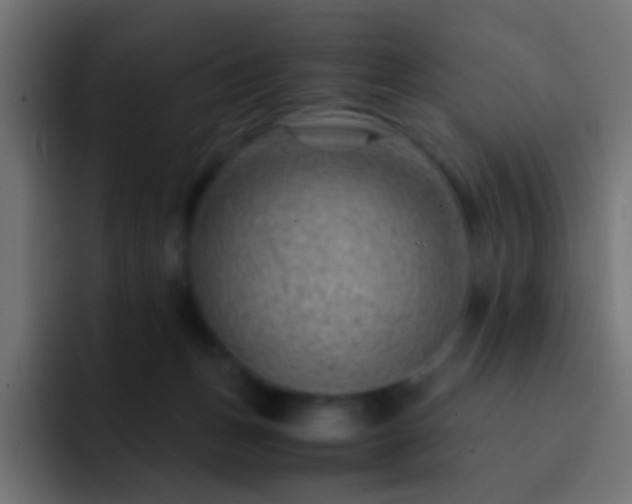 X0000093150175200710031434
