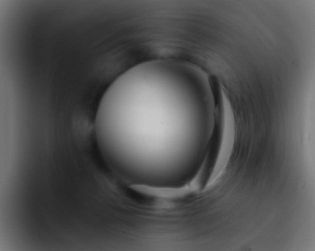 X0000093150176200710031434