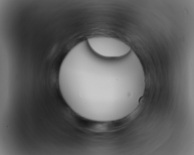 X0000093150178200710031434