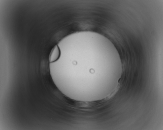 X0000093150182200710031434