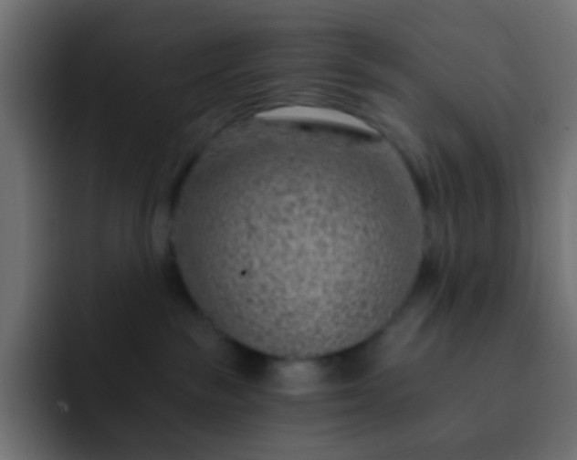X0000093150189200710031434