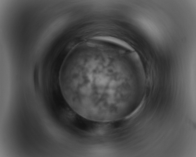 X0000093150191200710031434
