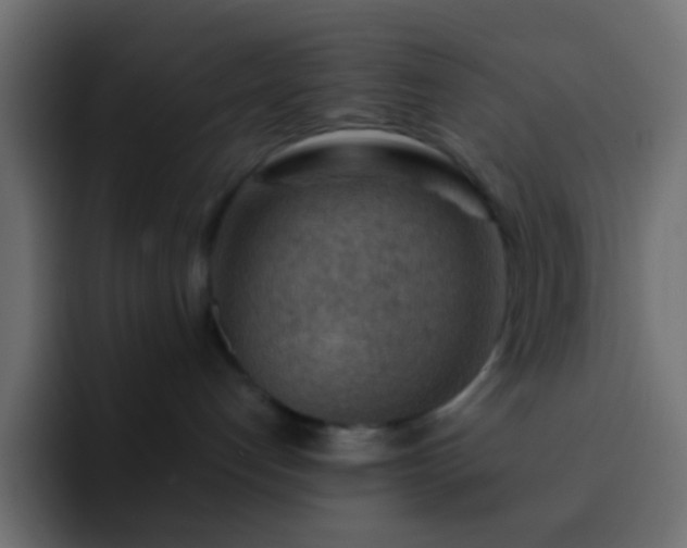 X0000093150192200710031434
