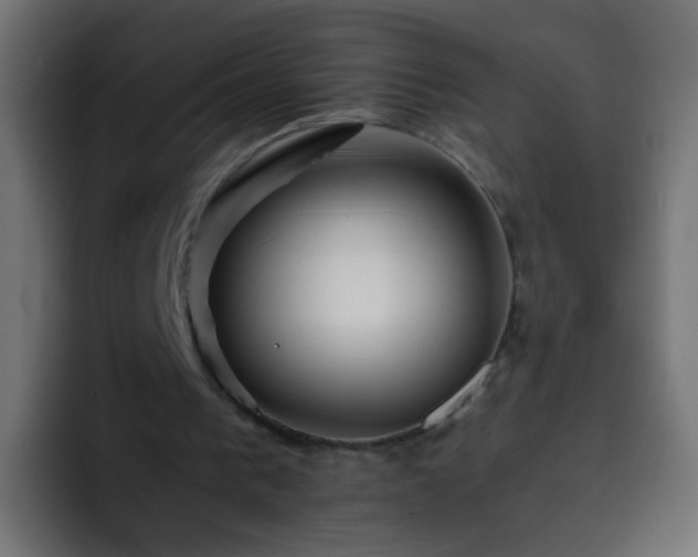 X0000093150193200710031434