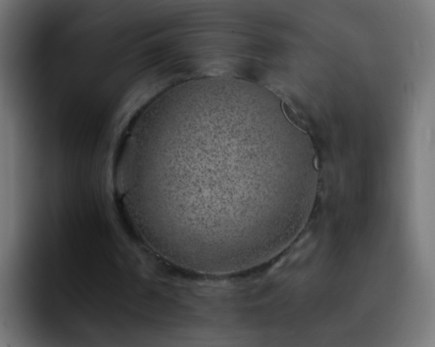 X0000093150194200710031434