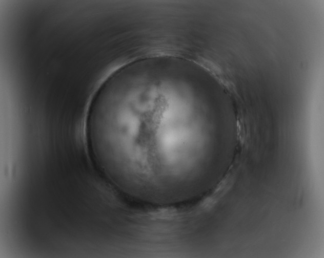 X0000093150196200710031434