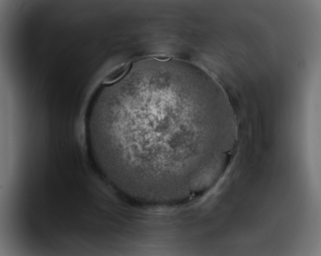 X0000093150198200710031434