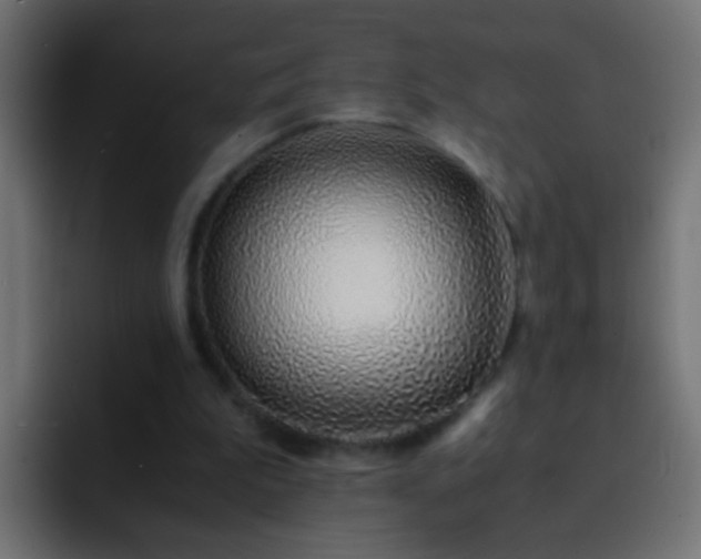 X0000093150199200710031434