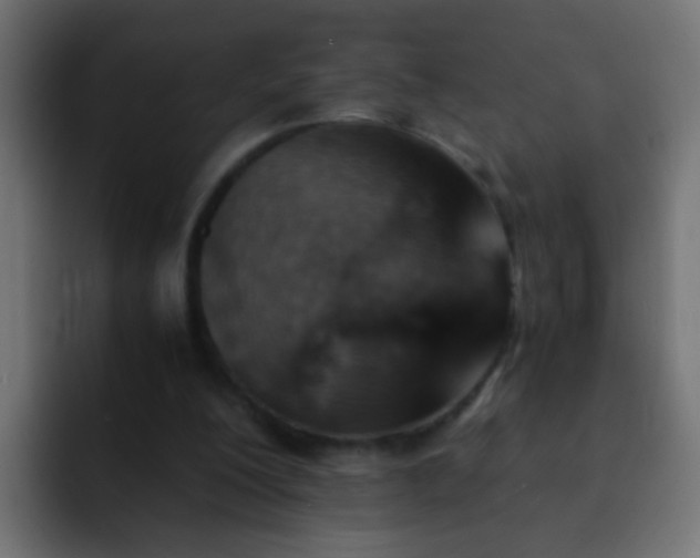 X0000093150200200710031434