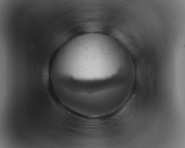 X0000093150202200710031434