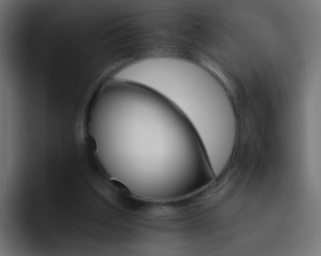 X0000093150203200710031434