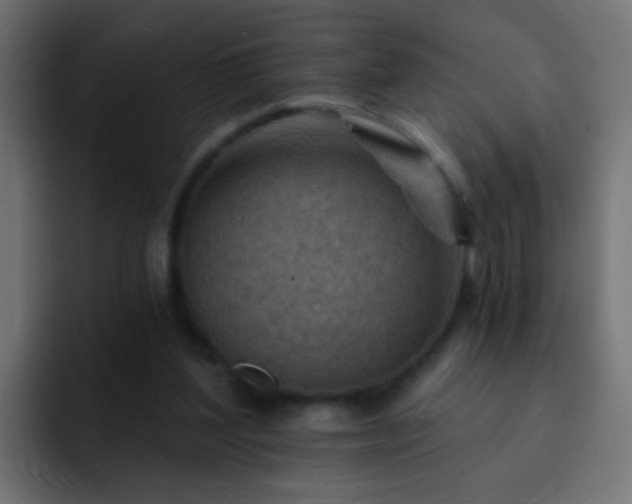 X0000093150204200710031434