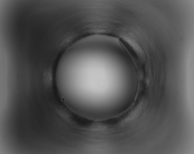X0000093150207200710031434