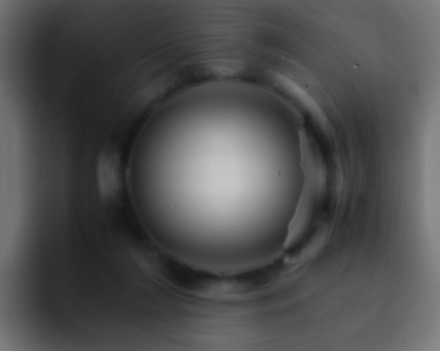 X0000093150212200710031434