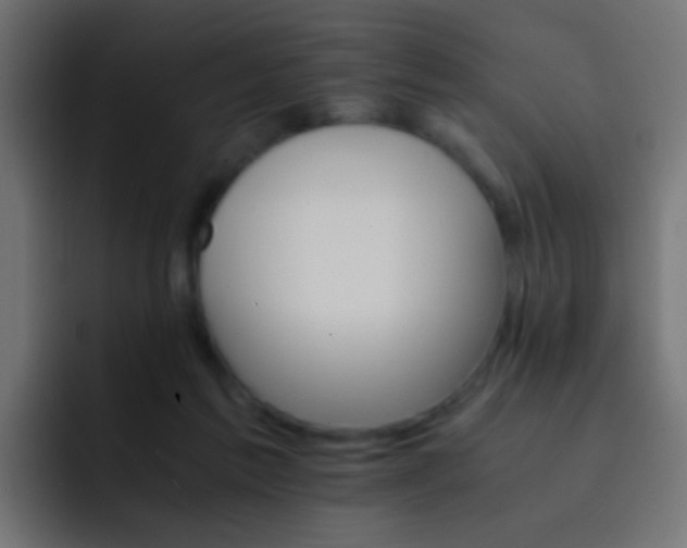 X0000093150213200710031434