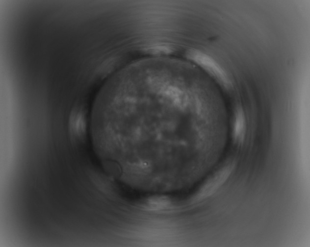 X0000093150214200710031434