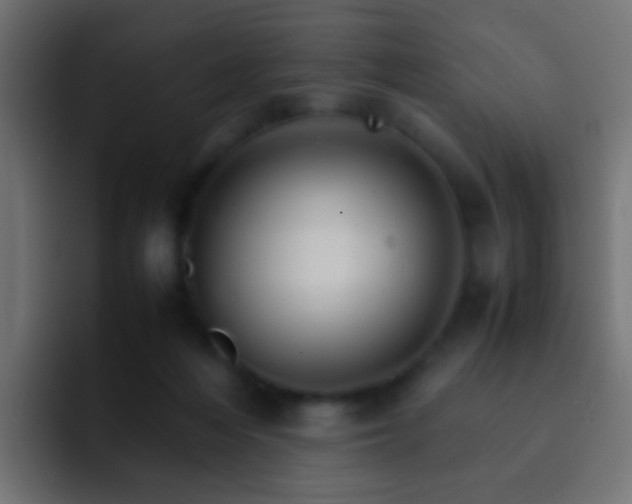 X0000093150216200710031433