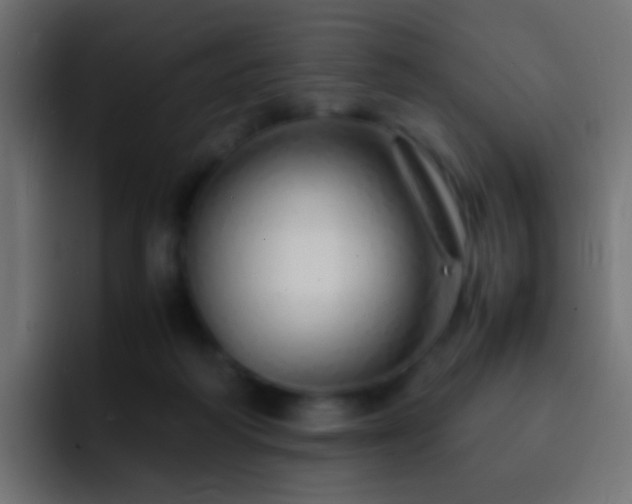 X0000093150218200710031433