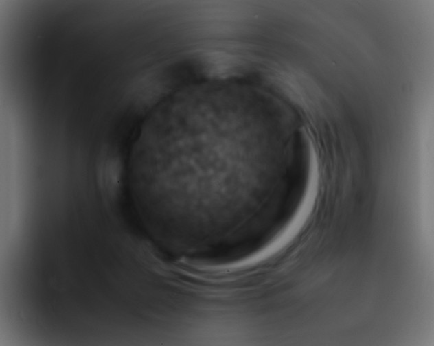 X0000093150219200710031433