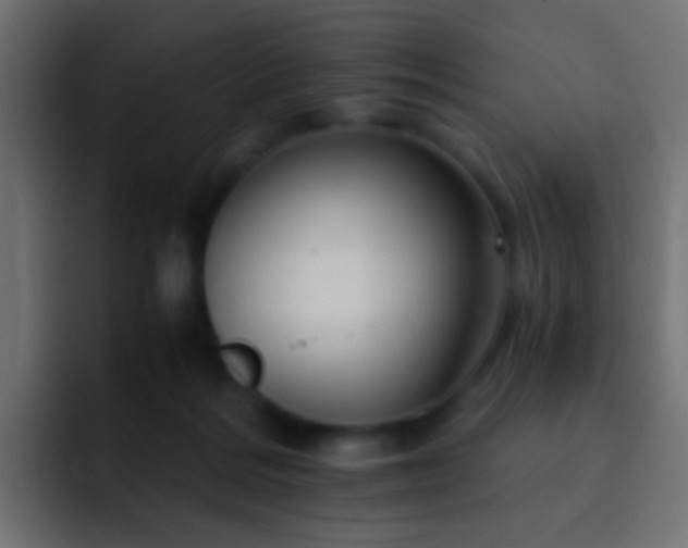 X0000093150220200710031433