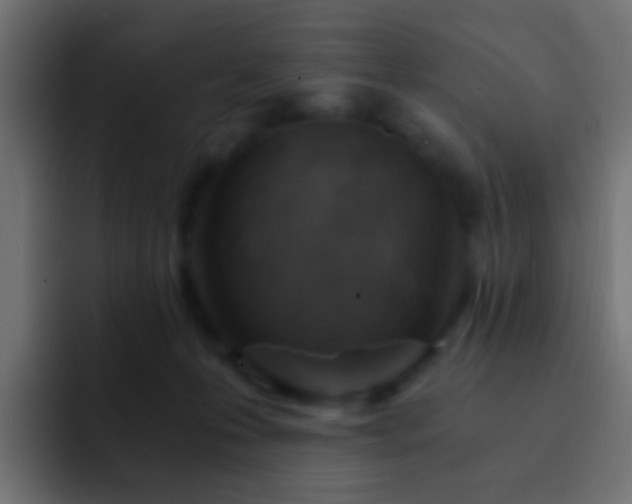 X0000093150223200710031433