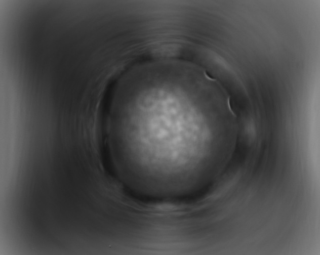 X0000093150224200710031433