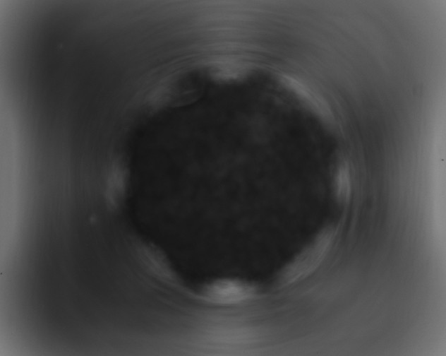 X0000093150227200710031433
