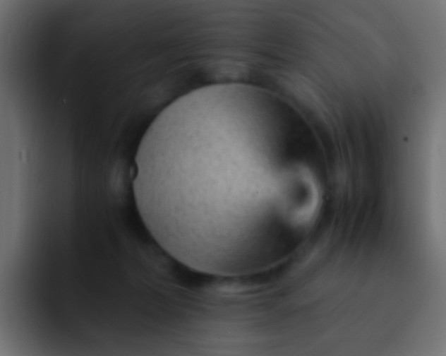 X0000093150228200710031433