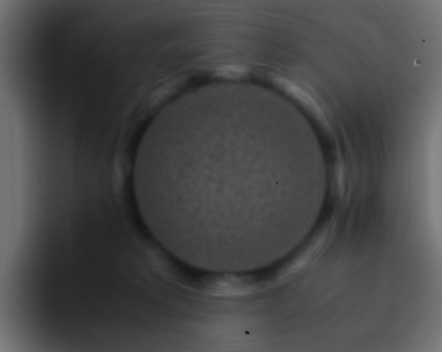 X0000093150229200710031433