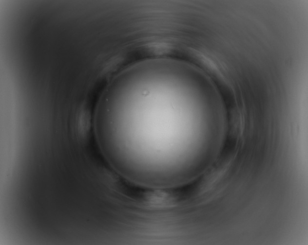X0000093150230200710031433