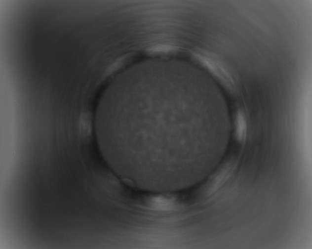 X0000093150232200710031433