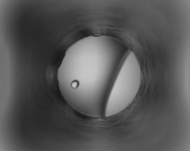 X0000093150233200710031433