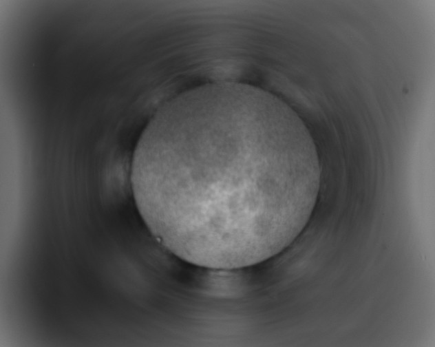 X0000093150240200710031433