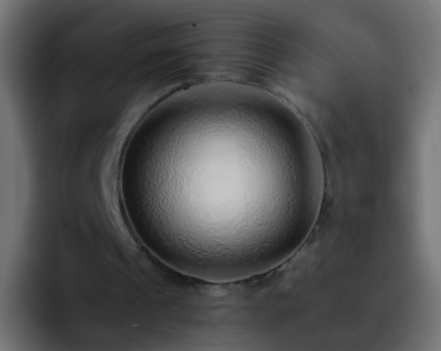 X0000093150241200710031433