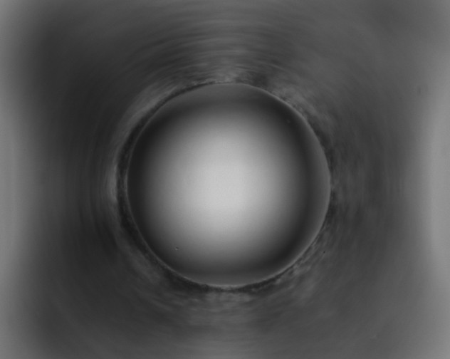 X0000093150242200710031433