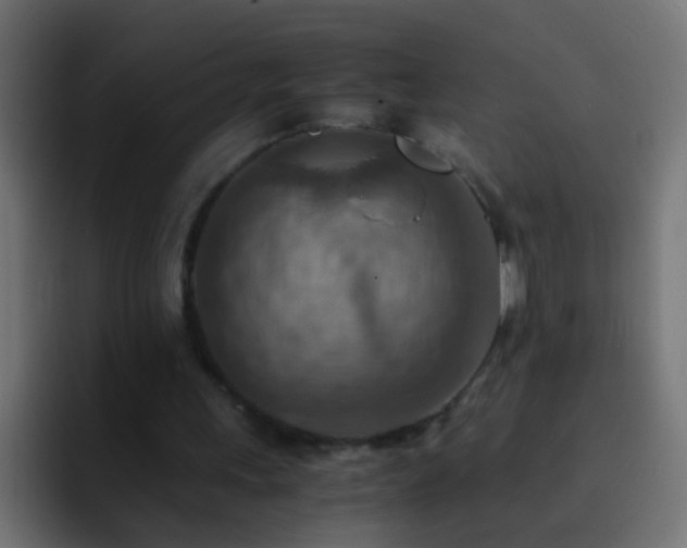 X0000093150243200710031433