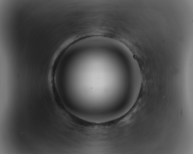X0000093150244200710031433