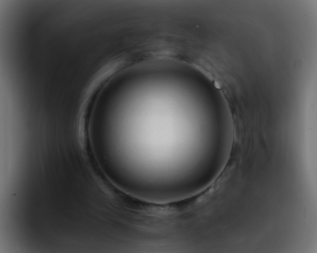 X0000093150245200710031433