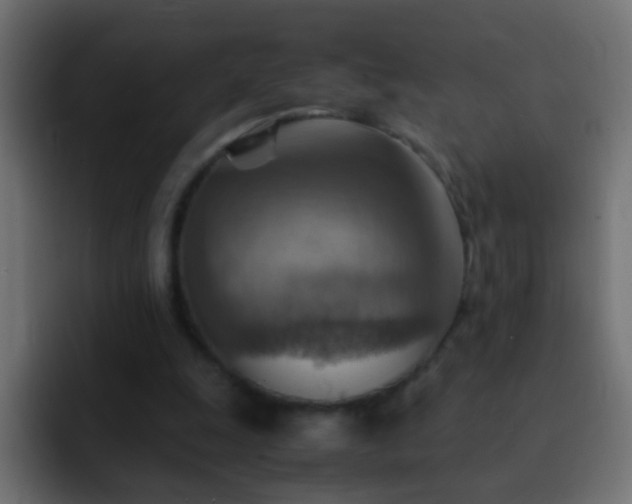 X0000093150247200710031433